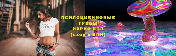 ГАЛЛЮЦИНОГЕННЫЕ ГРИБЫ Баксан