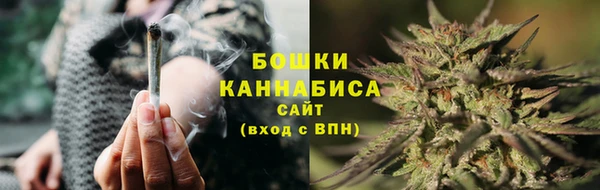 ГАЛЛЮЦИНОГЕННЫЕ ГРИБЫ Баксан