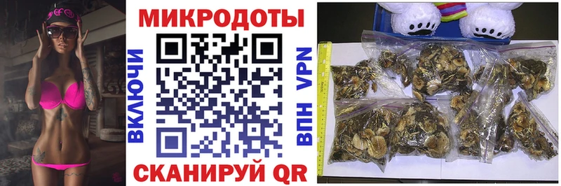 сайты даркнета наркотические препараты Починок Галлюциногенные грибы мицелий