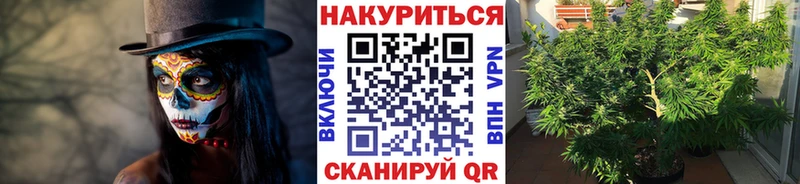 МАРИХУАНА семена  дарнет шоп  Починок 